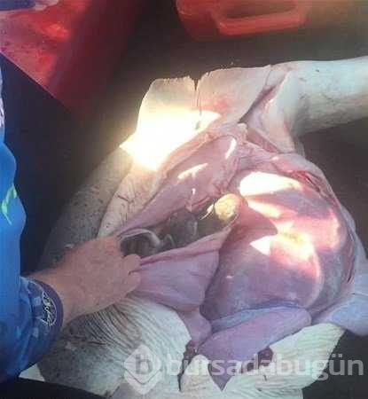 Şans eseri zengin oldu
