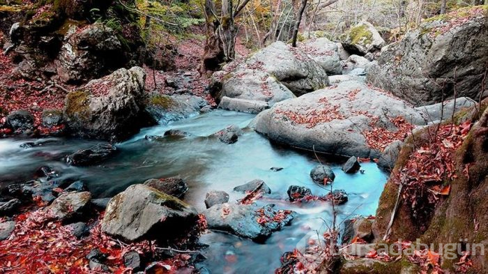 Yalova'da sonbaharın tüm güzellikleri bir arada