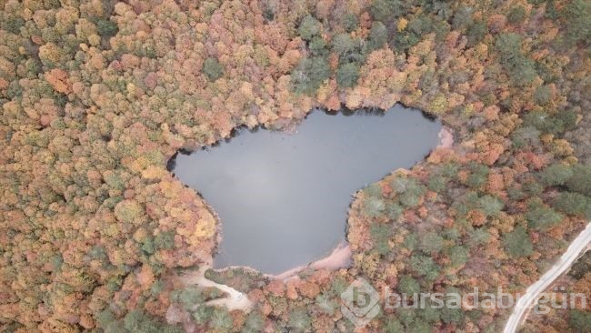 Yalova'da sonbaharın tüm güzellikleri bir arada
