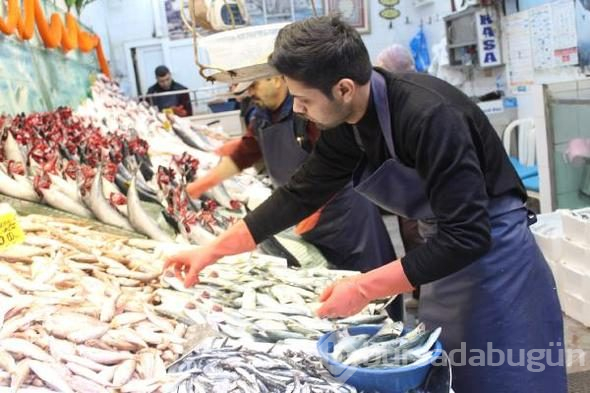 ABD'den Türkiye'ye tatile geldi, hayatı değişti...
