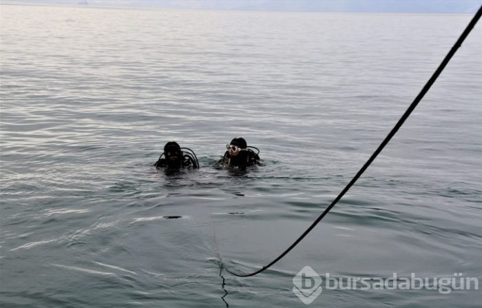 Mehmetçik'in bulduğu yeni balık türü bilim adamlarını bile şaşırttı: Hayret verici!
