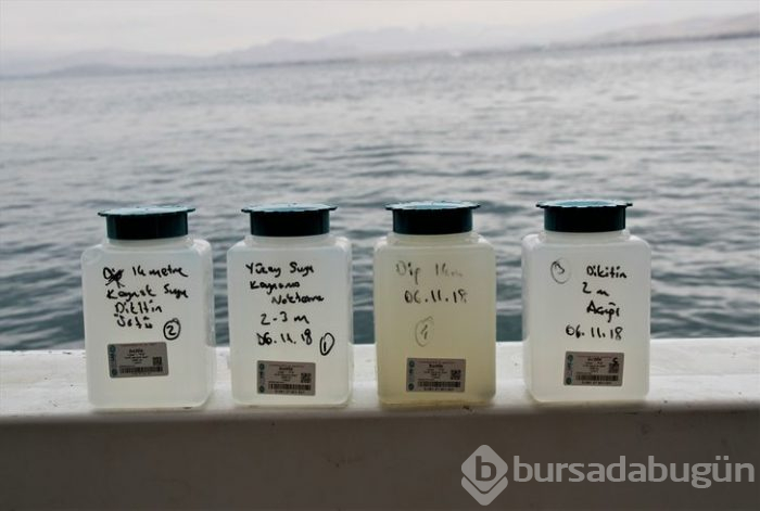 Mehmetçik'in bulduğu yeni balık türü bilim adamlarını bile şaşırttı: Hayret verici!
