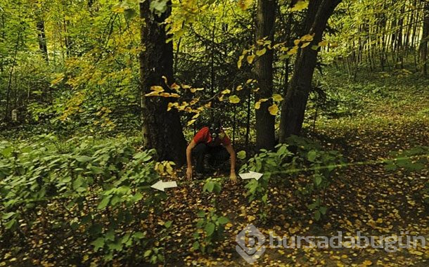 En korkunç fotoğraflar
