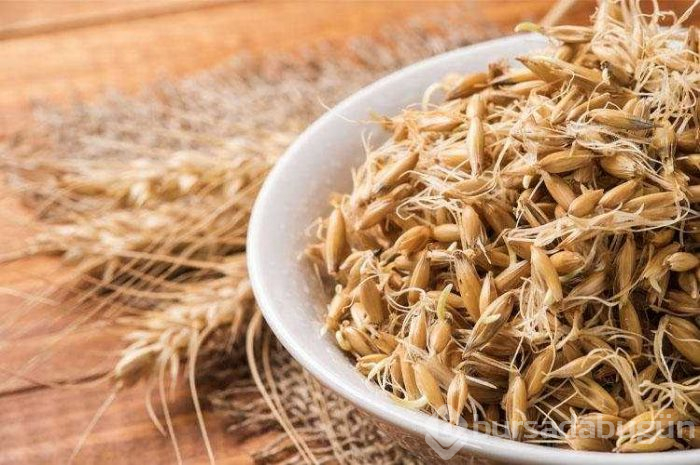 Kilo vermenizi kolaylaştıracak yağ yakan yiyecekler
