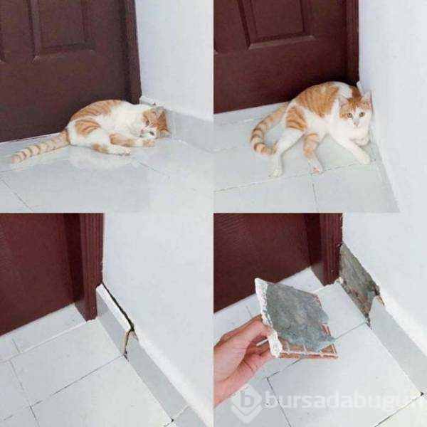 Günün en çok paylaşılan fotoğrafları (08.11.2018)