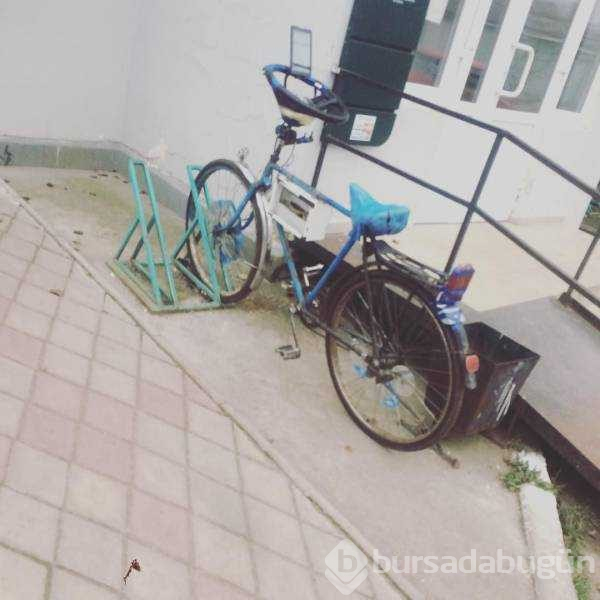 Günün en çok paylaşılan fotoğrafları (08.11.2018)