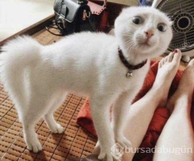 Günün en çok paylaşılan fotoğrafları (08.11.2018)