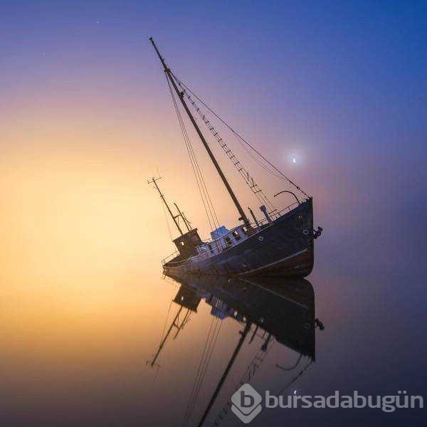 Günün en çok paylaşılan fotoğrafları (08.11.2018)