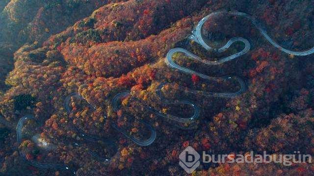 Günün en çok paylaşılan fotoğrafları (08.11.2018)