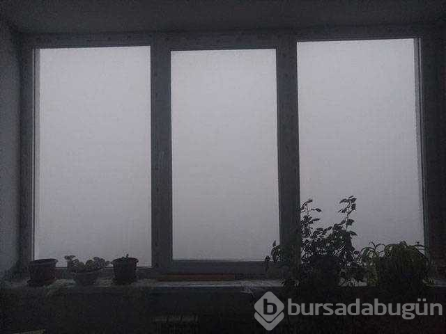 Günün en çok paylaşılan fotoğrafları (08.11.2018)