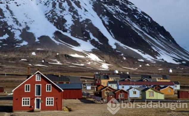 Ölmenin yasak olduğu ada Svalbard
