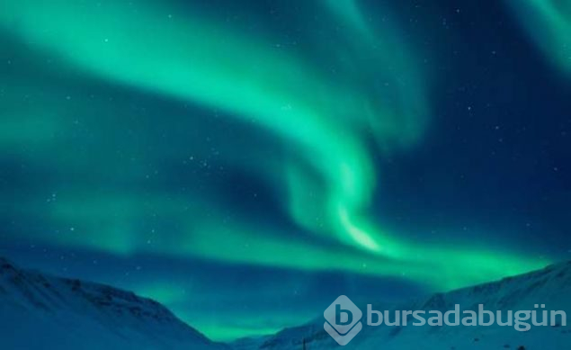 Ölmenin yasak olduğu ada Svalbard
