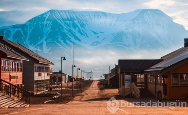 Ölmenin yasak olduğu ada Svalbard
