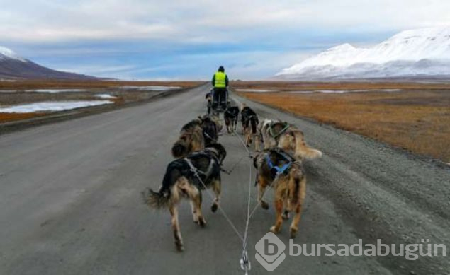 Ölmenin yasak olduğu ada Svalbard
