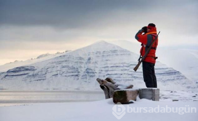 Ölmenin yasak olduğu ada Svalbard
