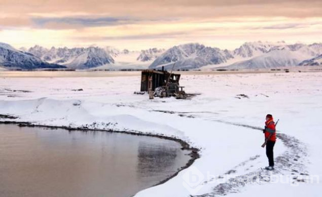 Ölmenin yasak olduğu ada Svalbard
