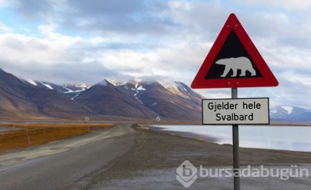 Ölmenin yasak olduğu ada Svalbard
