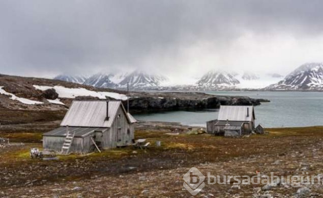 Ölmenin yasak olduğu ada Svalbard
