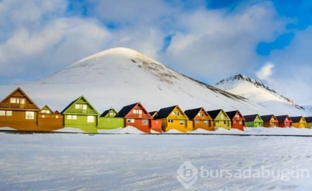 Ölmenin yasak olduğu ada Svalbard
