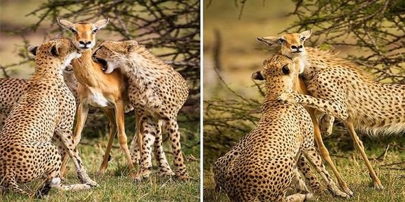Gerçek olmadığı ortaya çıkan fotoğraf kareleri
