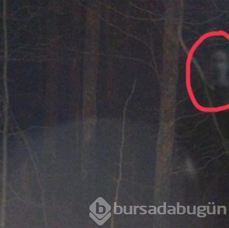Nasıl olduğu açıklanamayan fotoğraflar

