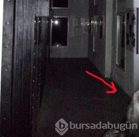 Nasıl olduğu açıklanamayan fotoğraflar
