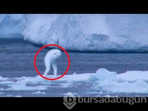 Nasıl olduğu açıklanamayan fotoğraflar
