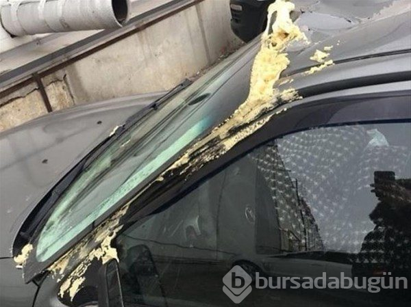 Biri yaratıcılık mı dedi?
