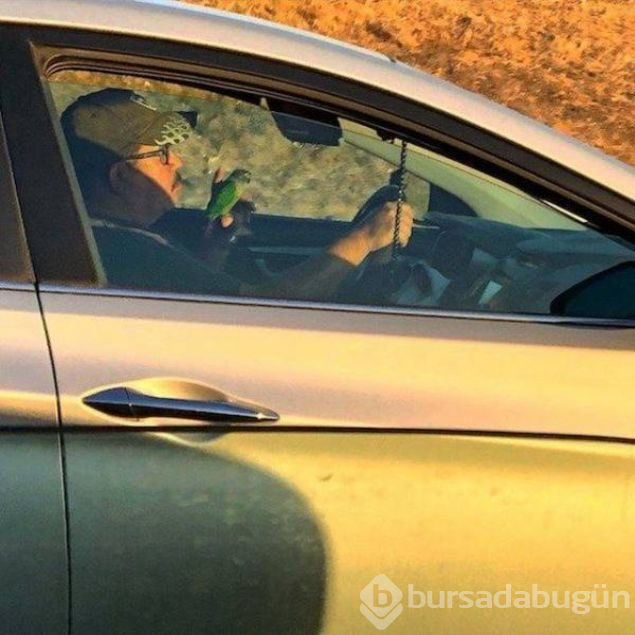 Sosyal medyada günün en çok paylaşılan fotoğrafları (09.11.2018)
