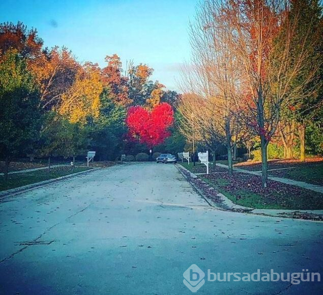 Sosyal medyada günün en çok paylaşılan fotoğrafları (09.11.2018)
