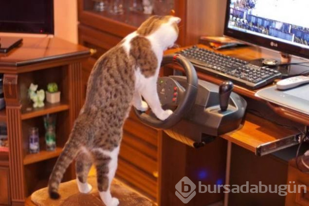 Sosyal medyada günün en çok paylaşılan fotoğrafları (09.11.2018)
