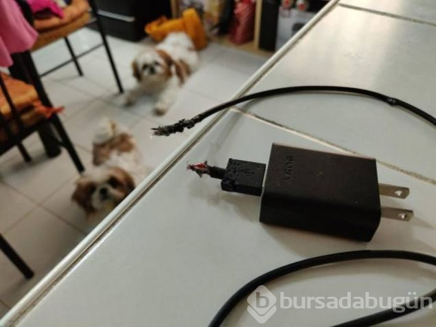 Sosyal medyada günün en çok paylaşılan fotoğrafları (09.11.2018)
