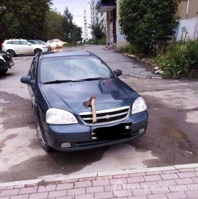 Sosyal medyada günün en çok paylaşılan fotoğrafları (09.11.2018)
