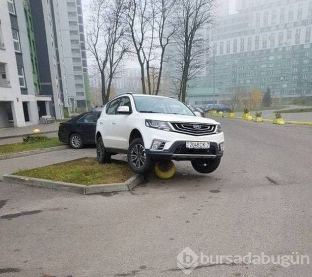 Sosyal medyada günün en çok paylaşılan fotoğrafları (09.11.2018)
