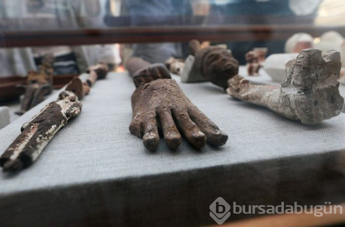 Mısır'da ilk kez böcek mumyası bulundu