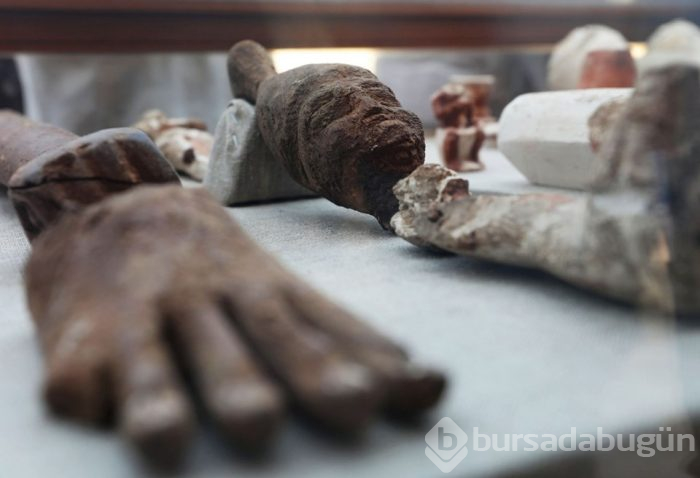 Mısır'da ilk kez böcek mumyası bulundu