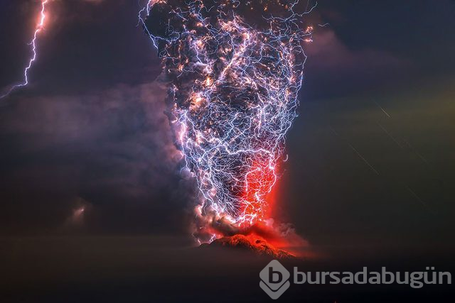 Siena Uluslararası Fotoğrafçılık Ödülleri'nden ödül alan, aşırı etkileyici 20 kare
