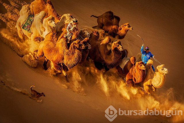 Siena Uluslararası Fotoğrafçılık Ödülleri'nden ödül alan, aşırı etkileyici 20 kare
