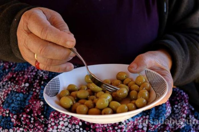 Hatay'ın benzersiz lezzeti küllü yeşil zeytin
