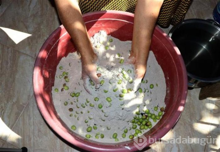 Hatay'ın benzersiz lezzeti küllü yeşil zeytin
