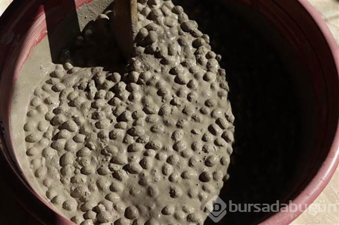 Hatay'ın benzersiz lezzeti küllü yeşil zeytin
