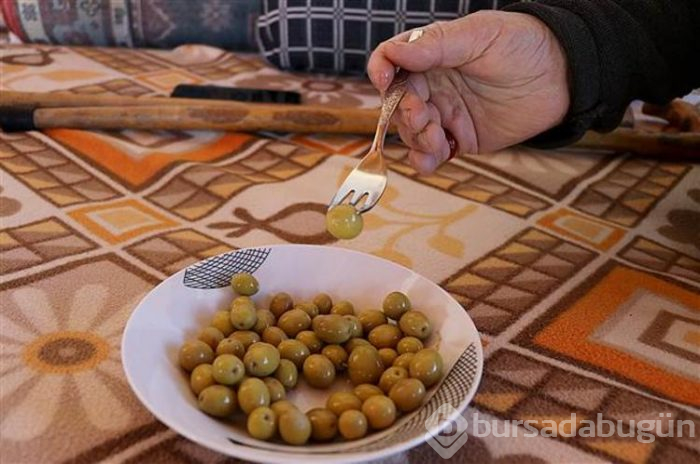 Hatay'ın benzersiz lezzeti küllü yeşil zeytin
