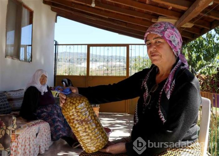 Hatay'ın benzersiz lezzeti küllü yeşil zeytin
