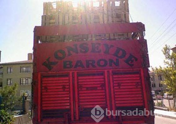 Şaşırtan araç arkası yazıları
