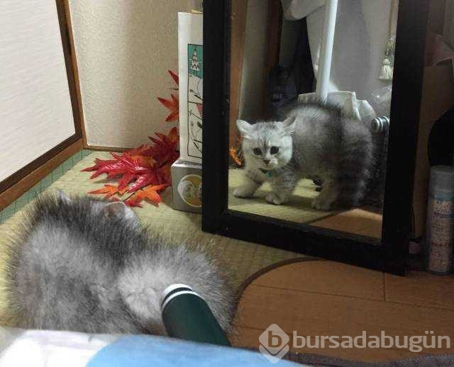 Günün en çok paylaşılan fotoğrafları (14.11.2018)