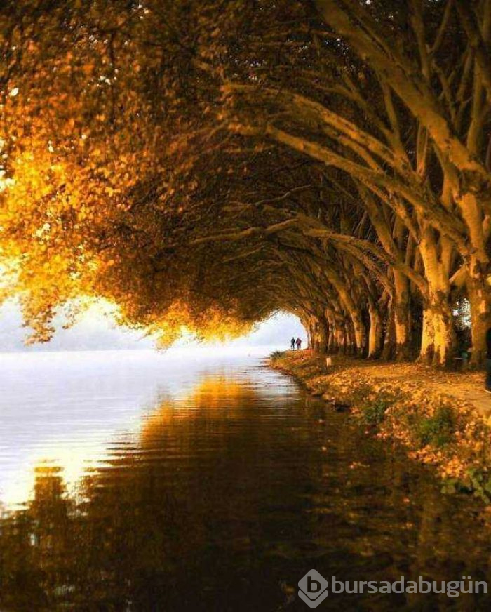 Günün en çok paylaşılan fotoğrafları (14.11.2018)