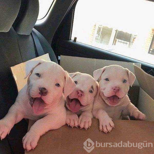 Günün en çok paylaşılan fotoğrafları (14.11.2018)