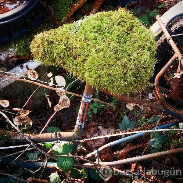 Günün en çok paylaşılan fotoğrafları (14.11.2018)