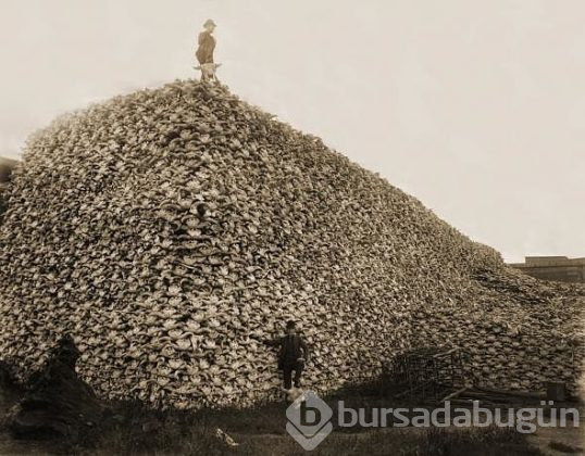 Az bilinen tarihi fotoğraflar
