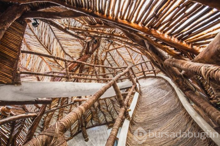 Doğadan İlhamla Yaratılmış Muhteşem Sanat Galerisi
